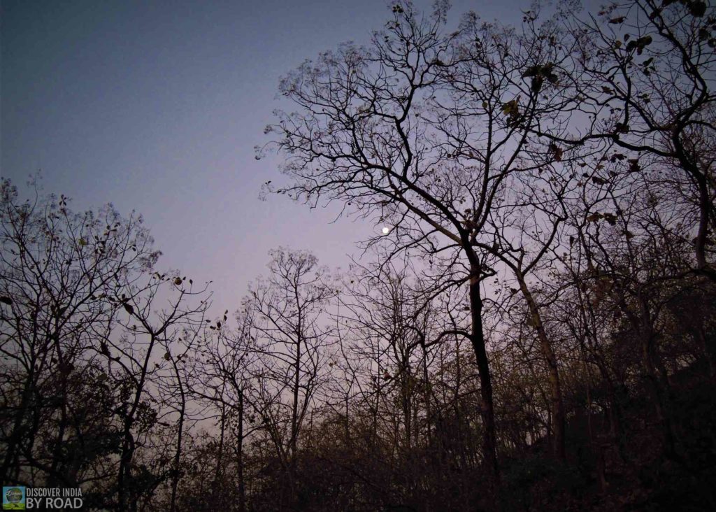 view of moon from Girnar Trek