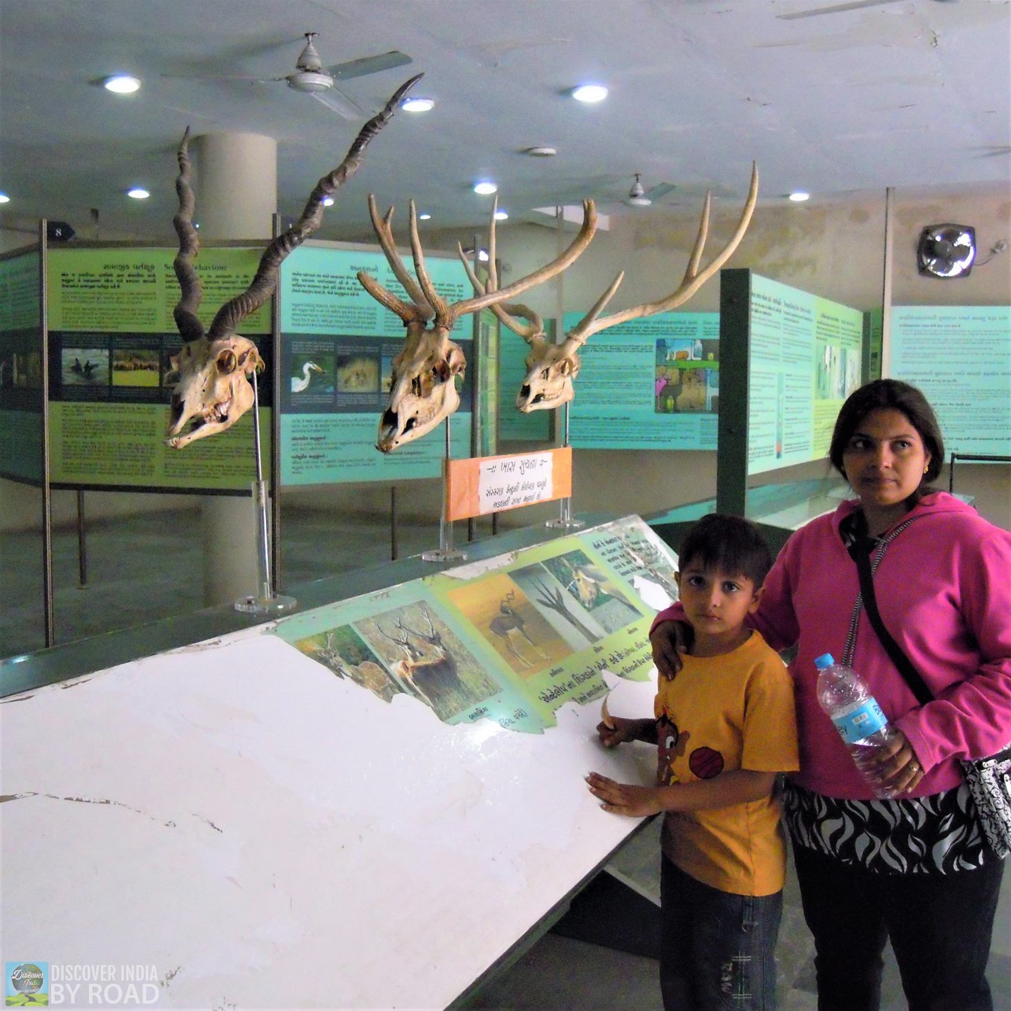 Natural history Museum of Sakkarbaug Zoo, Junagadh