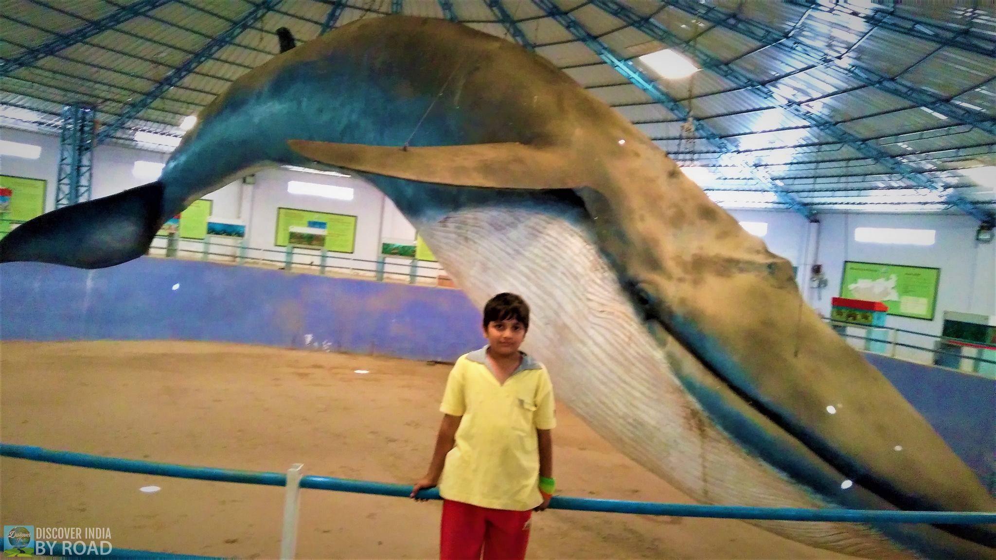 Blue Whale Park at hill garden bhuj